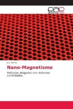 Nano-Magnetismo