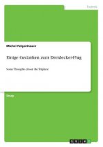 Einige Gedanken zum Dreidecker-Flug
