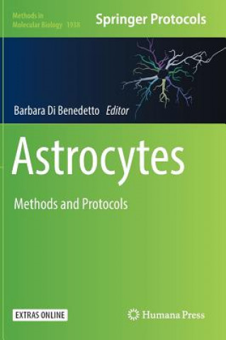 Astrocytes
