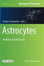 Astrocytes