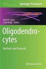 Oligodendrocytes