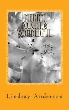 Merry, Bright,& Wonderful: A Beverly Black Novel
