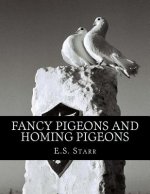 Fancy Pigeons and Homing Pigeons