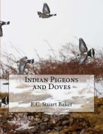 Indian Pigeons and Doves