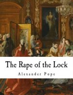 The Rape of the Lock: An Heroi-Comical Poem