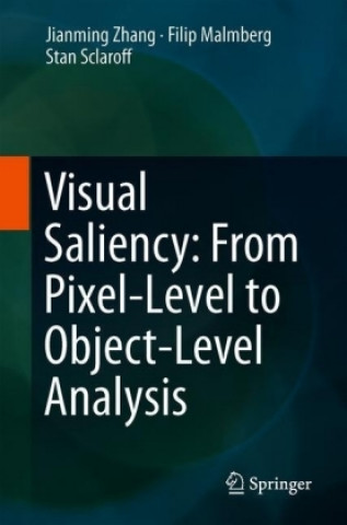 Visual Saliency: From Pixel-Level to Object-Level Analysis