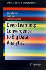 Deep Learning: Convergence to Big Data Analytics