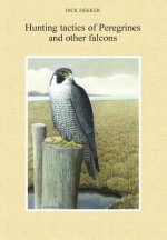 Hunting Tactics of Peregrines and other Falcons