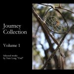 Journey Collection Volume 1: Selected works by Nate Long 