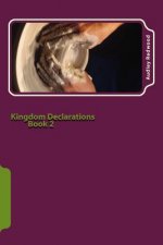 Kingdom Declarations Book 2: Use your words