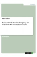 Positive Peerkultur. Die Peergroup als einflussreiche Sozialisationsinstanz