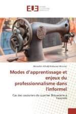 Modes d'apprentissage et enjeux du professionnalisme dans l'informel