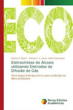 Eletrosintese de Alcoois utilizando Eletrodos de Difusao de Gas