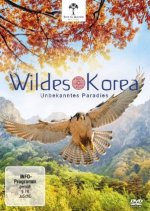 Wildes Korea, 1 DVD