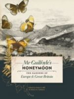 Mr Guilfoyle's Honeymoon