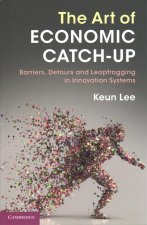 Art of Economic Catch-Up