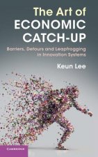 Art of Economic Catch-Up