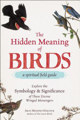 Hidden Meaning of Birds--A Spiritual Field Guide