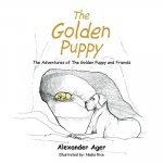 Golden Puppy