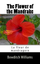 The Flower of the Mandrake: La fleur de mandragore