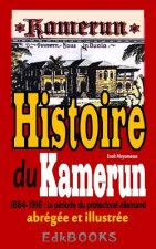 Histoire du Kamerun de 1884 ? 1916: le protectorat allemand