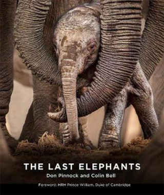 Last Elephants