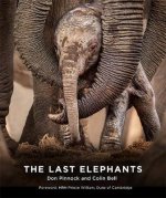 Last Elephants