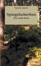Spiegelscherben