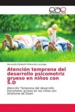 Atencion temprana del desarrollo psicomotriz grueso en ninos con S.D