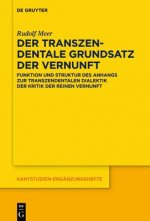 transzendentale Grundsatz der Vernunft