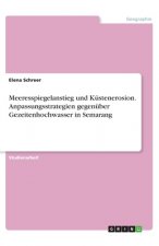 Meeresspiegelanstieg und Küstenerosion. Anpassungsstrategien gegenüber Gezeitenhochwasser in Semarang