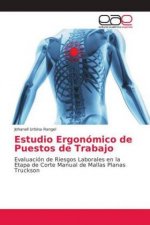 Estudio Ergonomico de Puestos de Trabajo