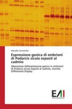 Espressione genica di embrioni di Podarcis sicula esposti al cadmio
