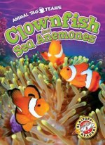 Clownfish and Sea Anemones