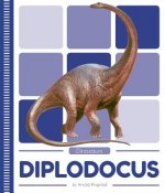Dinosaurs: Diplodocus