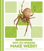 Science Questions: Why Do Spiders Make Webs?