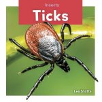 Insects: Ticks