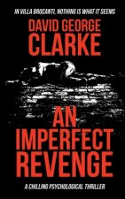 Imperfect Revenge