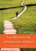 Les reveries du promeneur solitaire