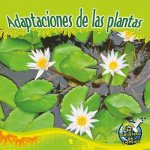 Adaptaciones de Las Plantas: Plant Adaptations