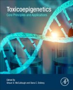 Toxicoepigenetics