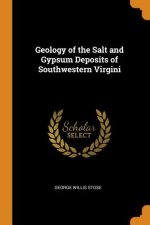 Geology of the Salt and Gypsum Deposits of Southwestern Virgini