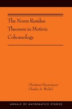 Norm Residue Theorem in Motivic Cohomology