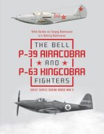 Bell P39 Airacobra and P63 Kingcobra Fighters: Soviet Service during World War II