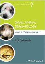 Small Animal Dermatology - What's Your Diagnosis?
