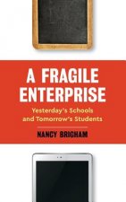 Fragile Enterprise