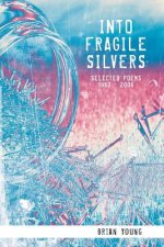 Into Fragile Silvers