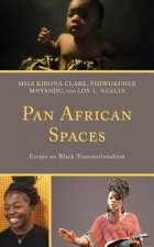 Pan African Spaces