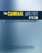 Criminal Justice System: Theory, Research, and Practice