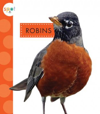 Robins